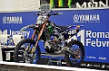 _DSC5435 (1)